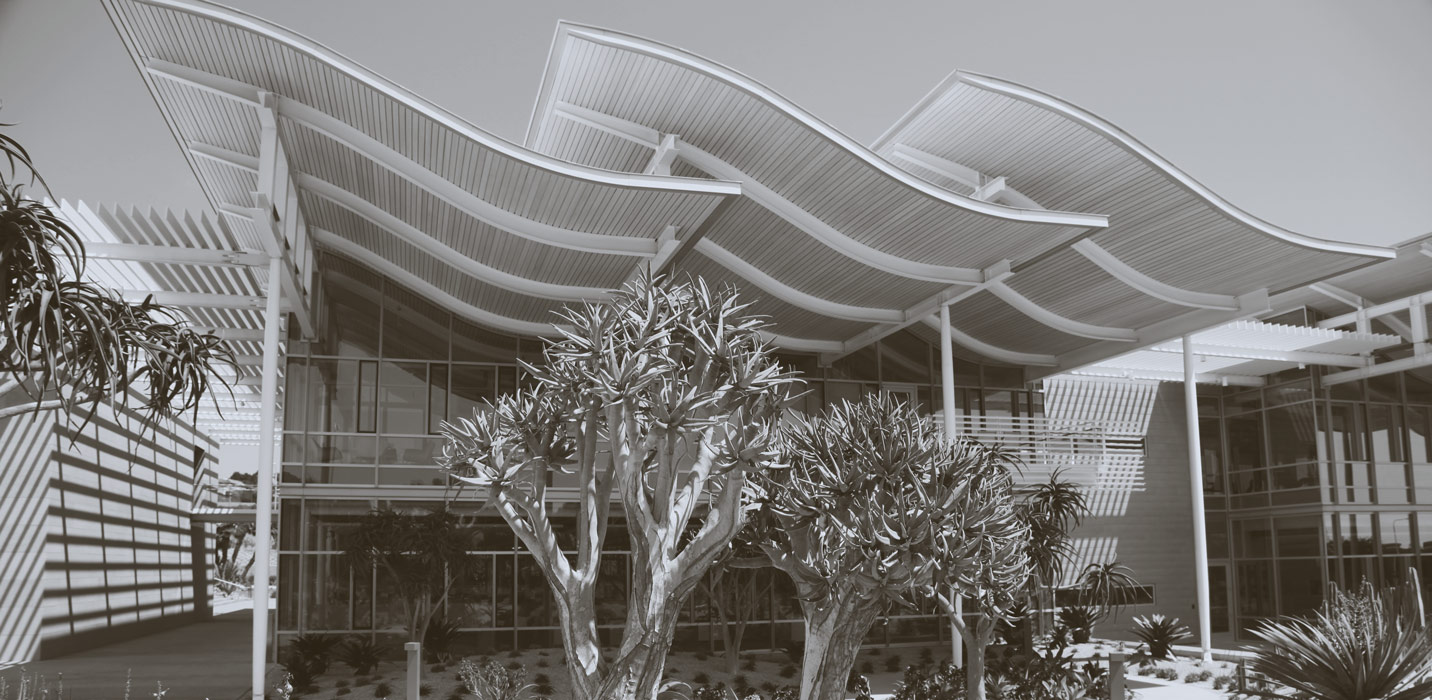 Our Attorneys Stuart Kane Llp